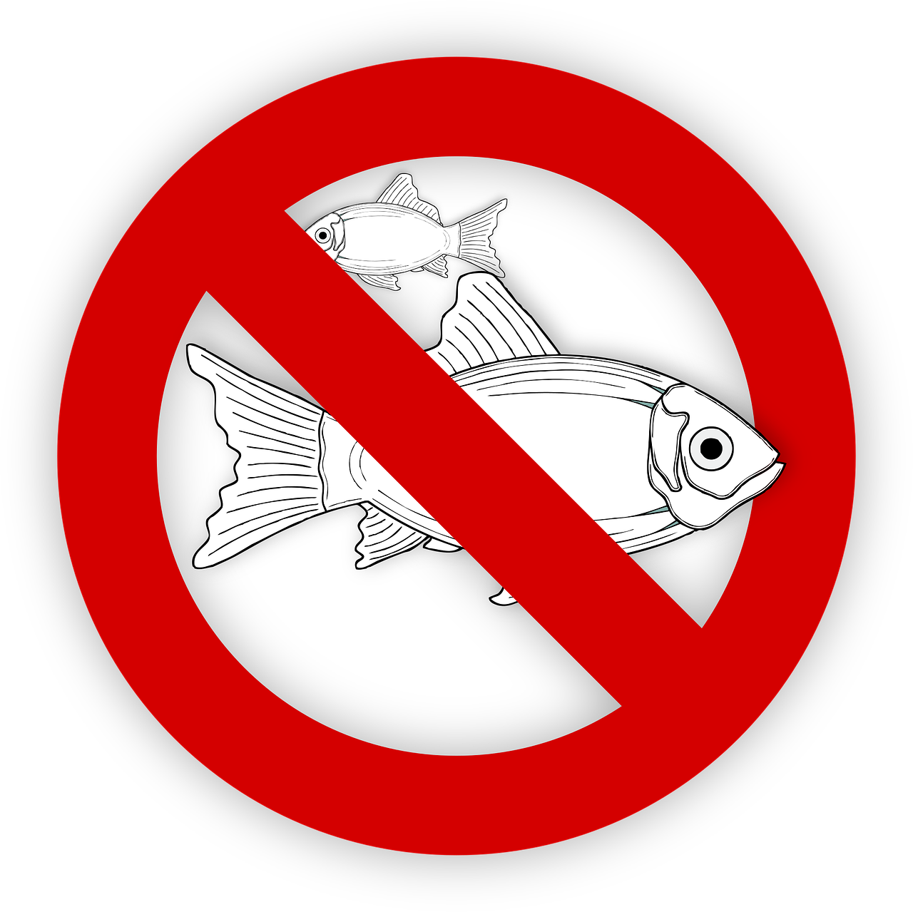 pixabay-995050-465.png